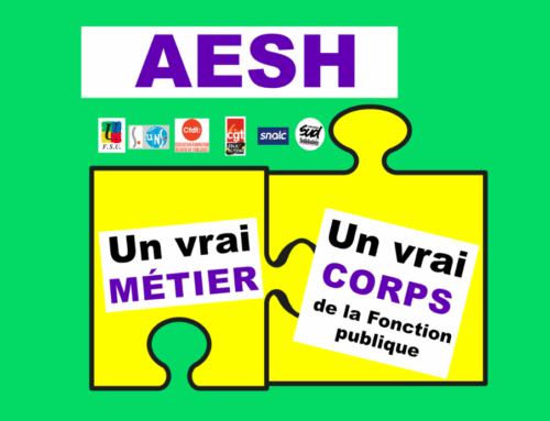 AESH : un vrai métier, un vrai corps de fonctionnaire ! Signez la pétition !